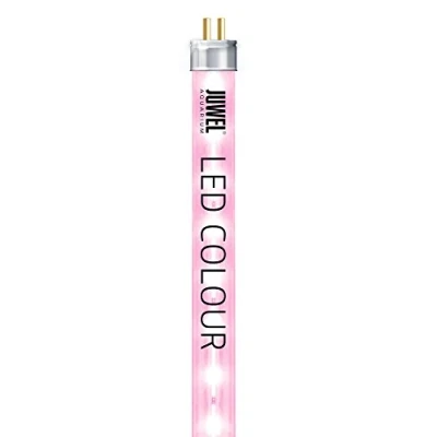 Abbildung von Juwel Aquarium LED COLOUR 590 mm passend für MultiLux Einsatzleuchte70/80 cm
