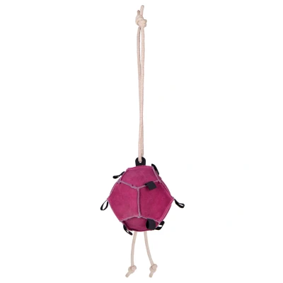 Abbildung von QHP Horse toy ball