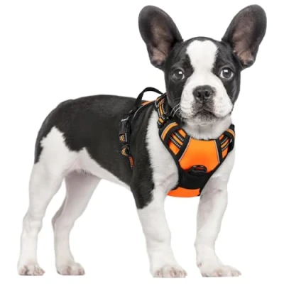 Abbildung von rabbitgoo Hundegeschirr Mittelgroße Hunde Anti Zug Geschirr Hund mit Kontrolle No Pull Verstellbar Grosse Atmungsaktiv Reflexstreifen Brustgeschirr Sichere Führung Orange S