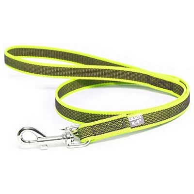 Abbildung von IDC Color &amp; Gray gumierte Leine, 20 mm x 2 m mit Schlaufe und D Ring, Neon Grau
