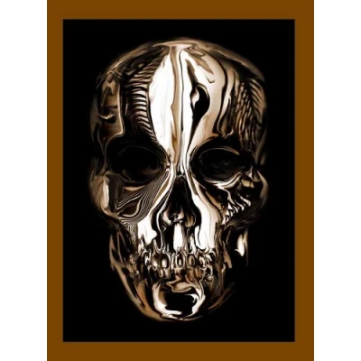 Abbildung von Alexander McQueen: Savage Beauty (Fashion Studies)