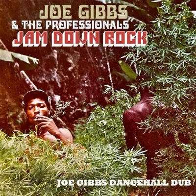 Abbildung von Jam Down Rock : Joe Gibbs Dancehall Dub