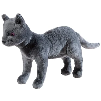 Abbildung von Schule der Magischen Tiere Katze GRS/PET Karajan