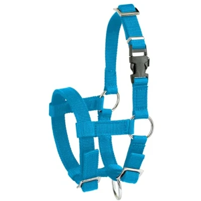 Abbildung von Kerbl Alpaka Halfter, verstellbar Blau (Abmessung 17 x 18 4,5 cm, Gewicht 0,1 kg, Material 20 mm Polypropylen) 27183