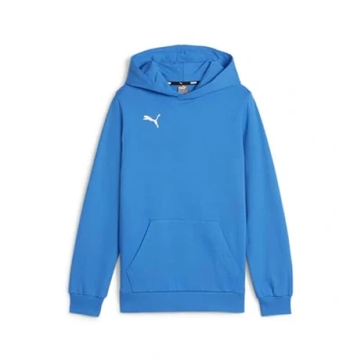 Abbildung von PUMA teamGOAL Casuals Hoody Jr