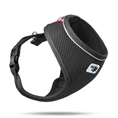 Abbildung von Basic Harness Air Mesh Black M