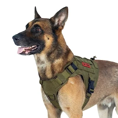 Abbildung von OneTigris Taktische Hundeweste Service Hundegeschirr MOLLE Hundeausbildung Geschirr 1000D Nylon (L, Ranger Grün)