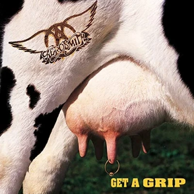 Abbildung von Get a Grip (2 Lp) [Vinyl LP]