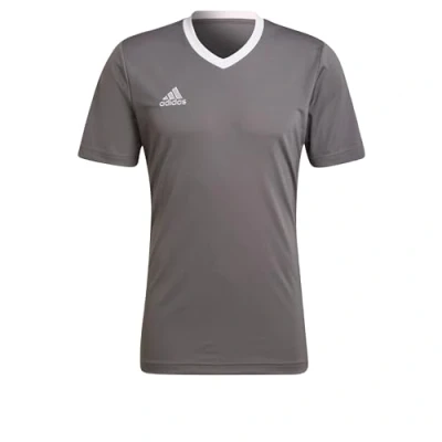 Abbildung von adidas Herren Entrada 22 Jersey, Team Grey Four, S