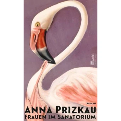 Abbildung von Frauen im Sanatorium: Roman «Grandios, wie Anna Prizkau von liebe und Schmerz erzählt. Ich dieses Buch.» Ronya Othmann