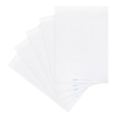 Abbildung von Landré Flipchart Papier, kariert, mit 20 Blatt je Block, 6 fach Lochung, 5 Stück