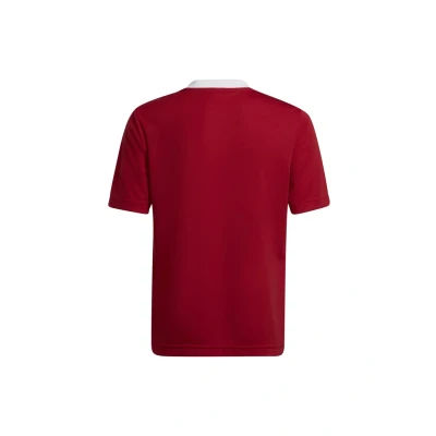 Abbildung von adidas Unisex Kinder Entrada 22 Jersey, Team Power Red 2, 11 12 Years
