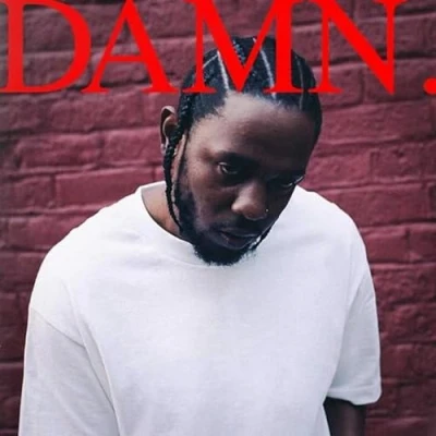 Abbildung von Damn. (2LP) [Vinyl LP]
