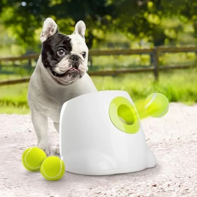 Abbildung von ALL FOR PAWS Automatischer Ballwerfer für Hunde, Hunde Ball Interaktive Ballwurfmaschine 3Pcs 2&quot; Tennisbällen Inklusive, Kleine und mittlere Interaktives Hundespielzeug
