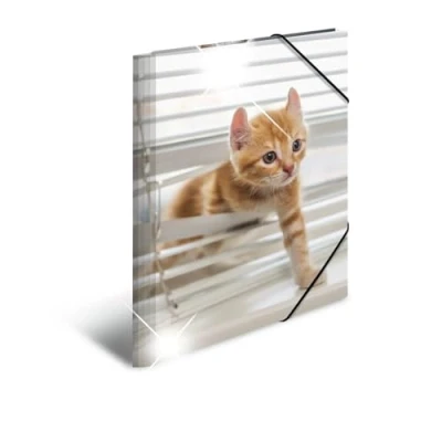 Abbildung von HERMA Sammelmappe A3 Katzen, Kinder Eckspanner Mappe aus Kunststoff mit Tier Motiv, Hochglanz Optik, Gummizug, Innenklappen und Innendruck für Jungen Mädchen
