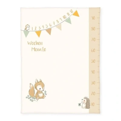 Abbildung von Herding babybest Soft Peachdecke Waldfreunde Meilensteindecke/Monatsdecke/Fotodecke, Inkl. Zubehör, 75 x 100 cm, Polyester