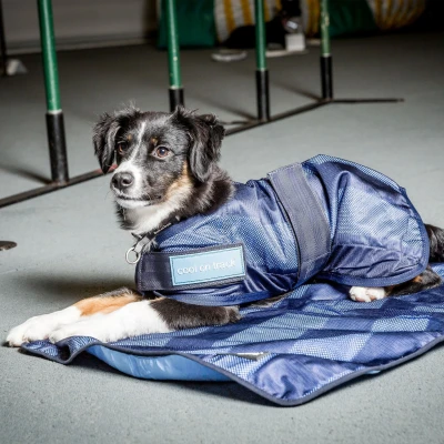 Abbildung von Back on Track Cooling Dog Coat