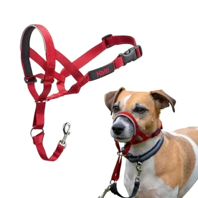 Abbildung von HALTI Kopfgeschirr Verhindert, dass Ihr Hund an der Leine zieht, Einfache Anpassung, Leicht, mit gepolstertem Nasenriemen, Anti Zug Halsband für kleine Hunde (Größe 1, Rot)