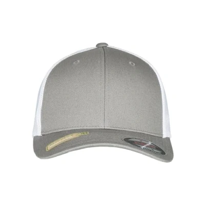 Abbildung von Flexfit Cap, Größe: L/XL, Grey/white