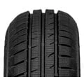 Abbildung von Fortuna Gowin Hp 205/60 R16 92H