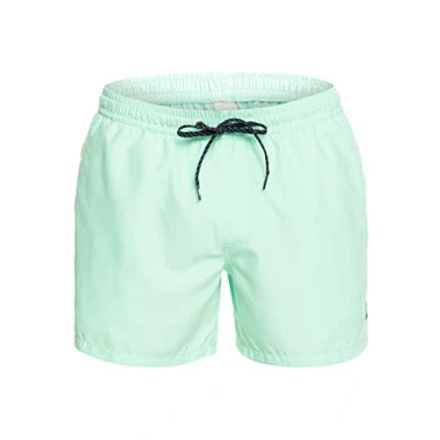 Abbildung von Quiksilver Everyday 15&quot; Schwimmshorts für Männer Grün