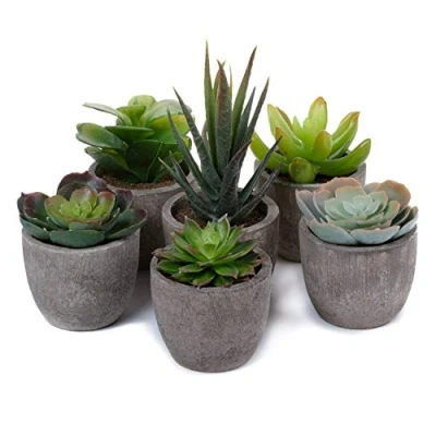 Abbildung von T4U 6er Set Mini Künstliche Sukkulenten Dekorative Kunstpflanze Bonsai mit Topf für Hochzeit/Büro/Zuhause/Wohnung/Wohnzimmer/Badezimmer Dekoration
