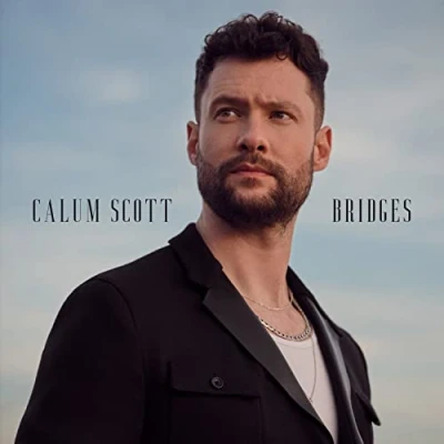 Abbildung von Bridges (2LP) [Vinyl LP]