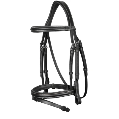 Abbildung von Dyon bridle Flash