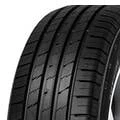 Abbildung von Minerva Ecospeed2 Suv 225/55 R19 99V