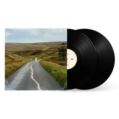 Abbildung von The Loop [Vinyl LP]