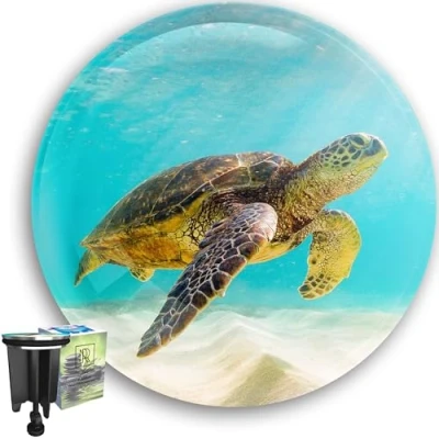 Abbildung von M. ROSENFELD HOME Universal Waschbeckenstöpsel 40mm mit Motiv Schildkröte Turtle Chrom Abflussstopfen aus Messing, Gummi für Waschbecken im Bad und Bidets Excenterstopfen