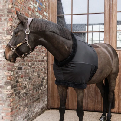 Abbildung von Kentucky Chest Protection