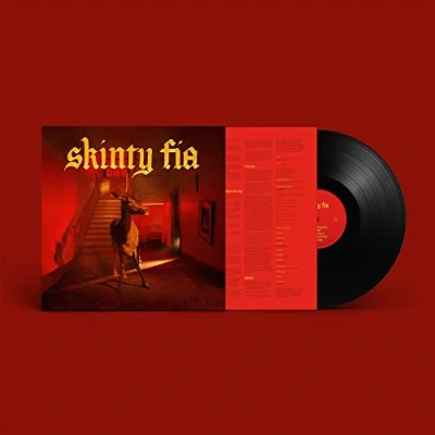 Abbildung von Skinty Fia [Vinyl LP]