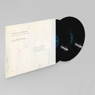 Abbildung von After The Last Sky [Vinyl LP]