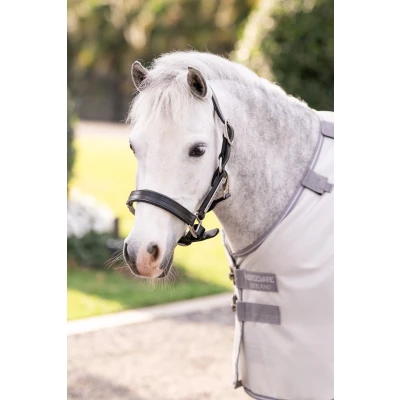 Abbildung von Amigo Bug Rug Pony