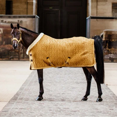 Abbildung von Kentucky Show Rug Velvet 160g Mustard
