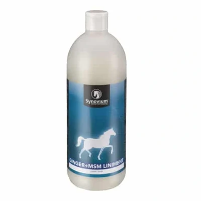 Abbildung von Synovium Ginger MSM Liniment