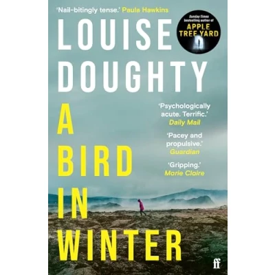 Abbildung von A Bird in Winter: &#039;Nail bitingly tense and compelling&#039; Paula Hawkins