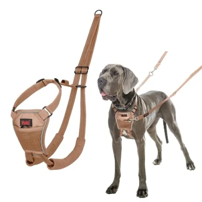 Abbildung von HALTI No Pull Anti Zug Geschirr Verhindert, DASS Ihr Hund an der Leine zieht, Gepolsterter Brust und Beingurt, Reflektierendes Gurtmaterial, Einfache Anpassung Benutzung (Größe L, Wüstensand)