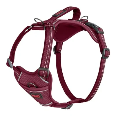 Abbildung von HALTI Anatomy Hundegeschirr mit Griff Bewegungsfreiheit und Tragekomfort für deinen Hund. 3 Verbindungspunkte die Leine, Neoprenpolsterung, verstellbar reflektierend (Größe XS, Magenta)