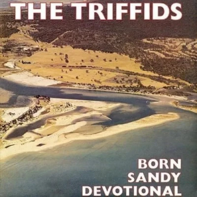 Abbildung von Born Sandy Devotional [Vinyl LP]