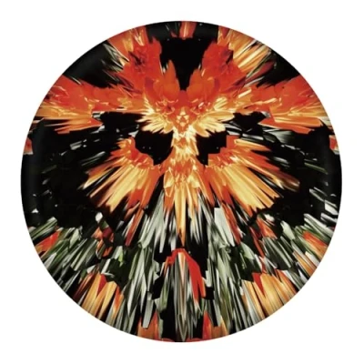 Abbildung von Waboba Unisex Erwachsene Wingman Pro Faltbare Silikonscheibe Fliegt gerade und weit, perfekt für Kinder Farbe Größe Flames, One Color, Size