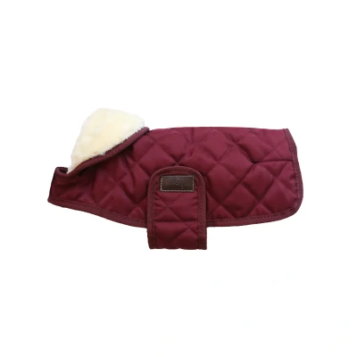 Abbildung von Kentucky Dog Coat