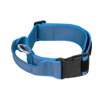 Abbildung von JULIUS K9, 200HA K B 2015 Color &amp; Gray series K9 Halsband mit Haltegriff, Sicherheitsverschluss und Logo Sicherheitsverschluss, 50 mm*49 70 cm, verstellbar, blau grau