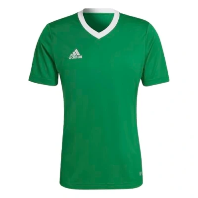 Abbildung von adidas Herren Entrada 22 Jersey, Team Green/White, L