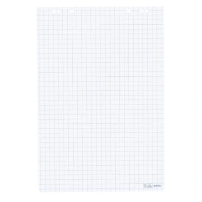 Abbildung von Herlitz 10834141 Flipchartblock, 68x99cm (kariert/gelocht), 5 Blöcke (20 Blatt je Block)