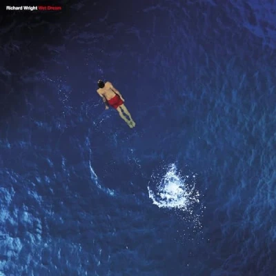 Abbildung von Wet Dream [Vinyl LP]