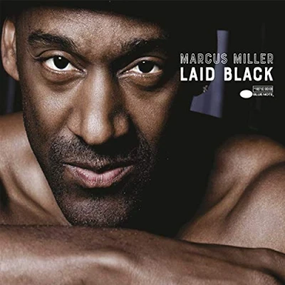 Abbildung von Laid Black