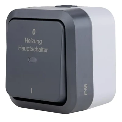 Abbildung von REV AquaStorm, Heizungs Hauptschalter Feuchtraum IP55, zweipolig, Aufputz, 230V, 10A, anthrazit