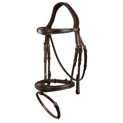 Abbildung von Dyon Anatomic Flash Noseband Bridle D Collection